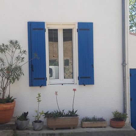 Maison Occitane Saint-Nazaire-d'Aude エクステリア 写真